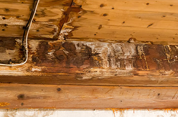 wood-rot-crawlspace