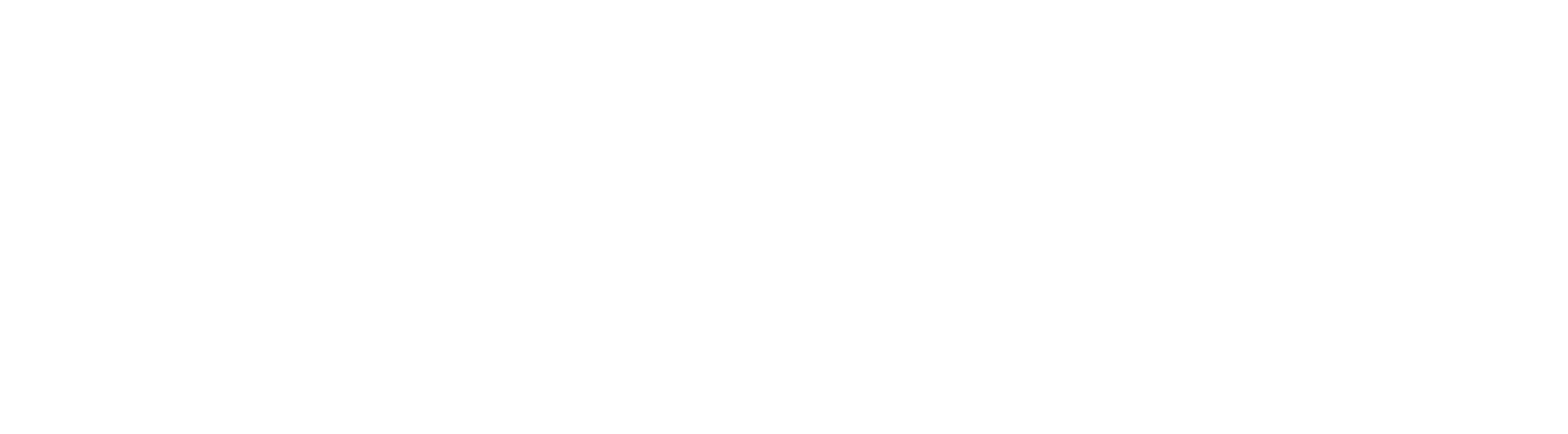 Foundation Solutions Group Logo