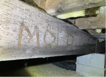 Mold Remediation
