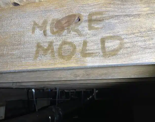 Mold Removal & Remediation with Soda Blasting
