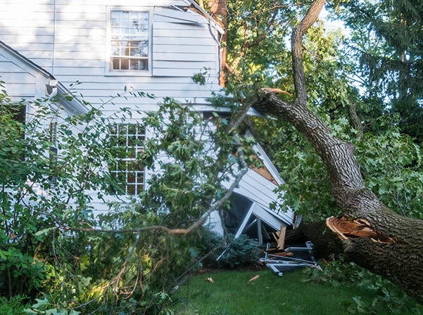 A large tree that has fallen on a home causing damage