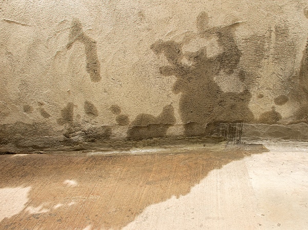 water in basement
